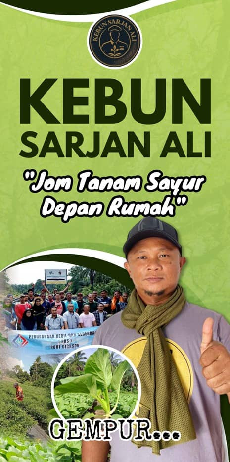 CHAT SAYA DI WHATSAPP