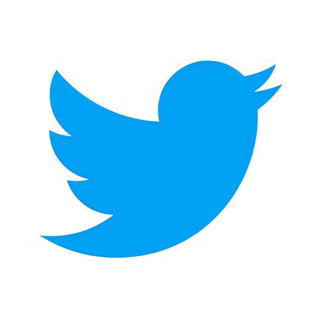 Twitter (X)