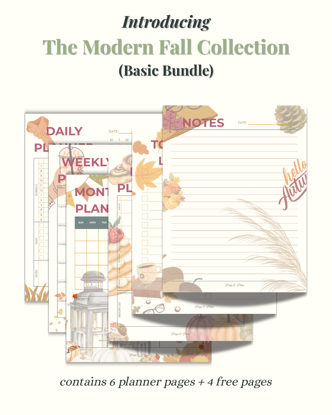 Modern Fall Collection