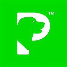 PetSquad Website