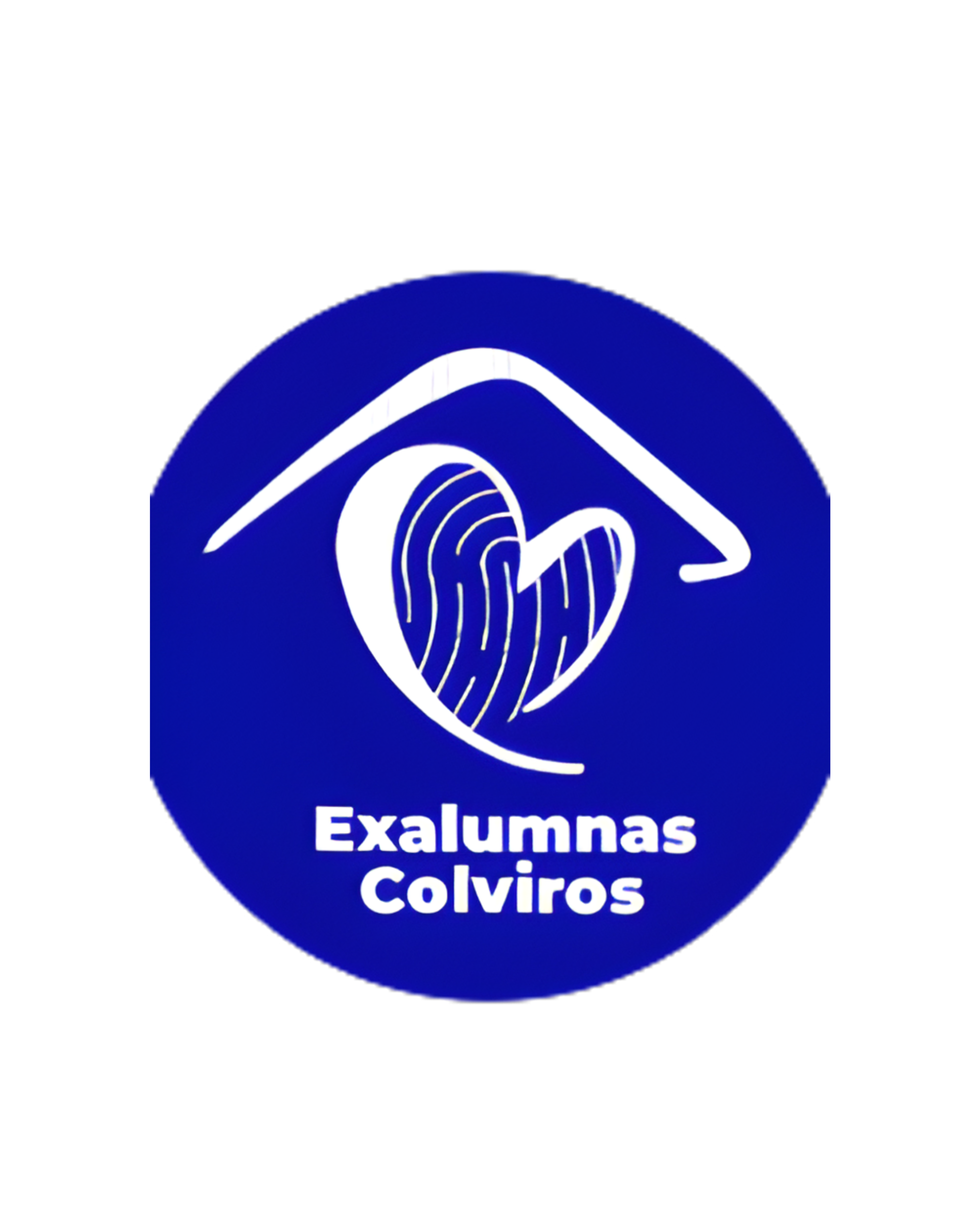 Instagram Exalumnas Colviros