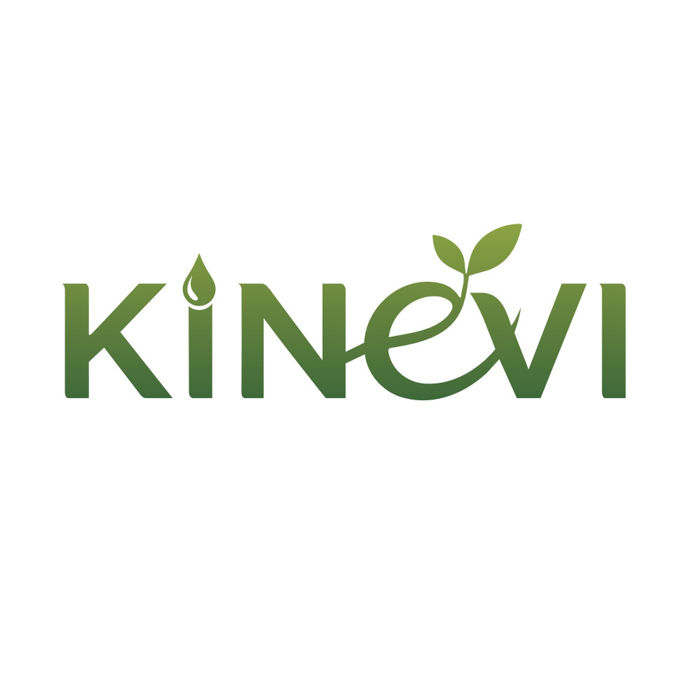 Kineviglobal Website
